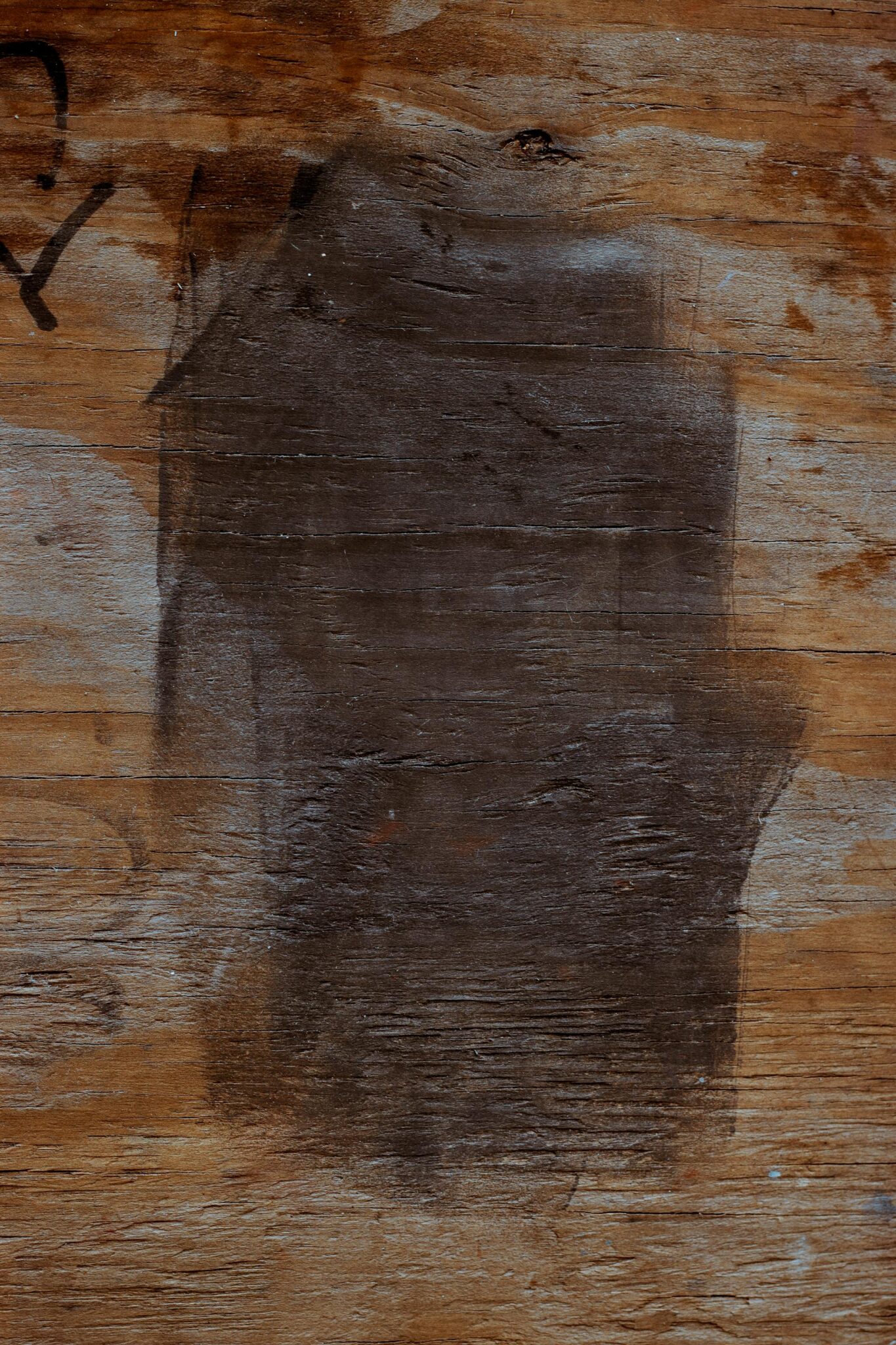 Medinė tvora nudažyta pusiau skaidriais lazūriniais dažais, išryškinančiais medžio rieves.